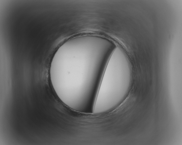 X0000102301355200807251013