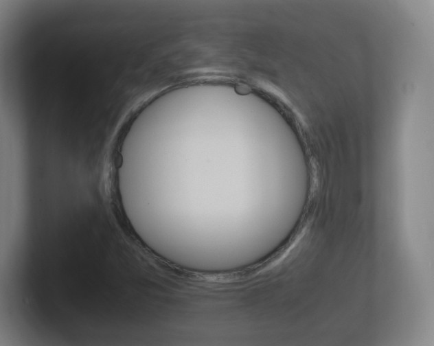 X0000102301357200807251013