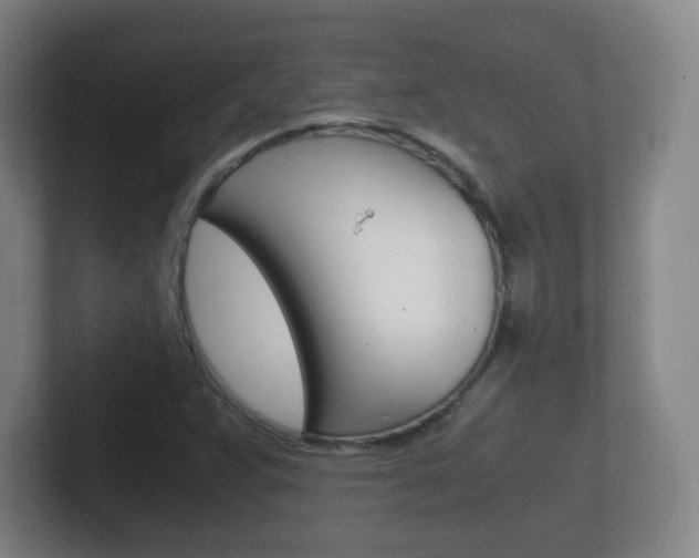 X0000102301359200807251013