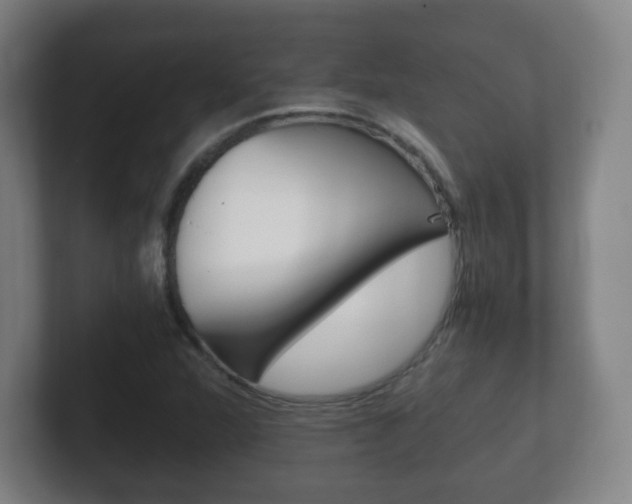 X0000102301360200807251013