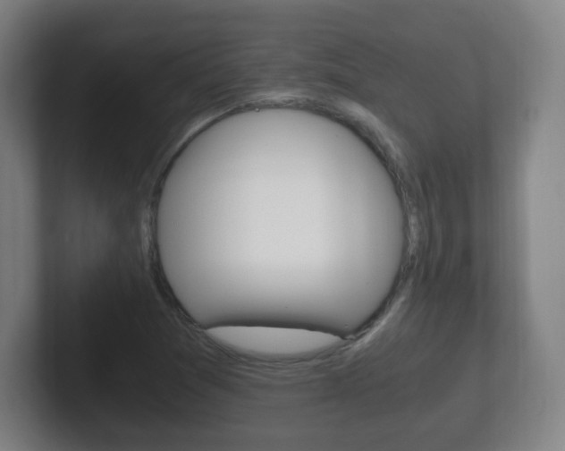 X0000102301361200807251013