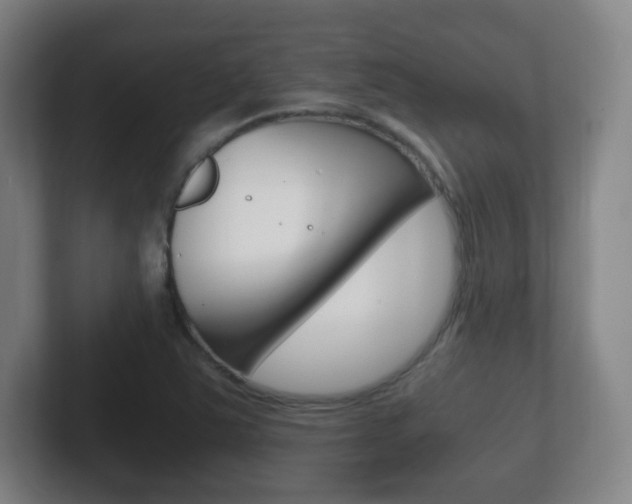 X0000102301363200807251013