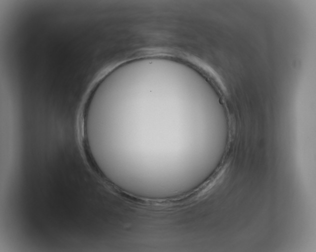 X0000102301365200807251013