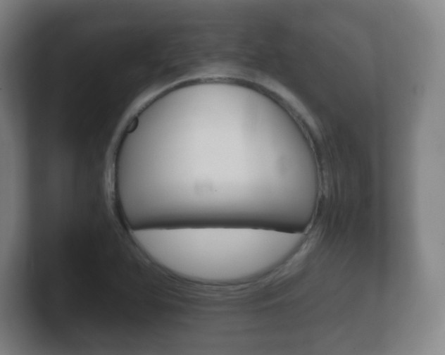 X0000102301366200807251013