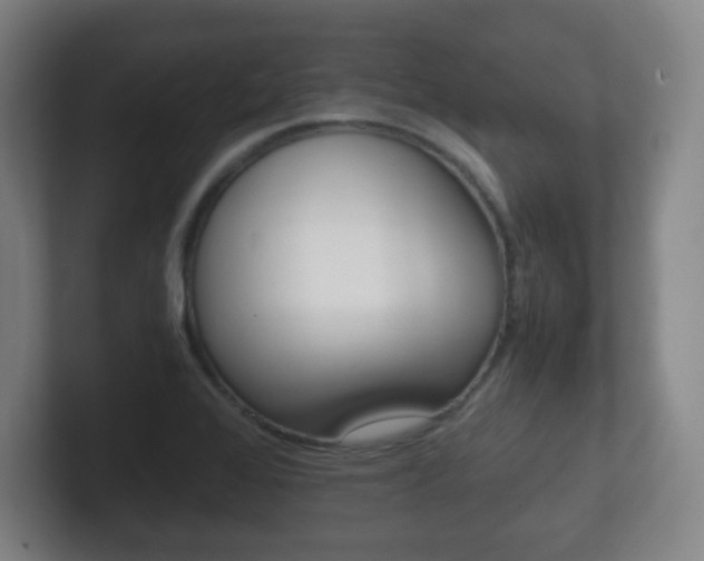 X0000102301368200807251013