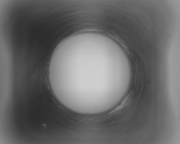 X0000102301369200807251013