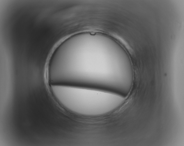 X0000102301371200807251012