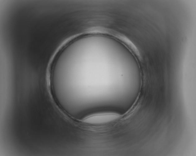 X0000102301376200807251012