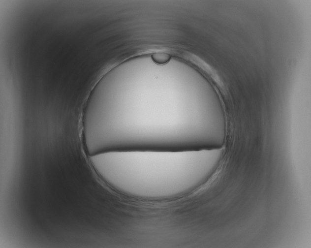 X0000102301377200807251012