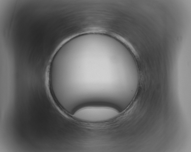X0000102301383200807251012