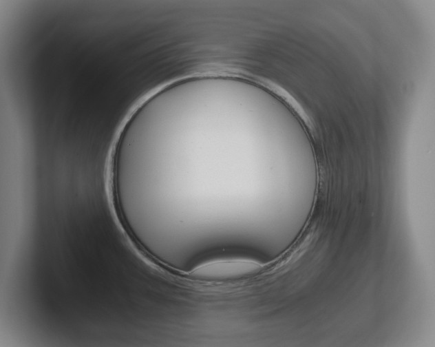 X0000102301387200807251012
