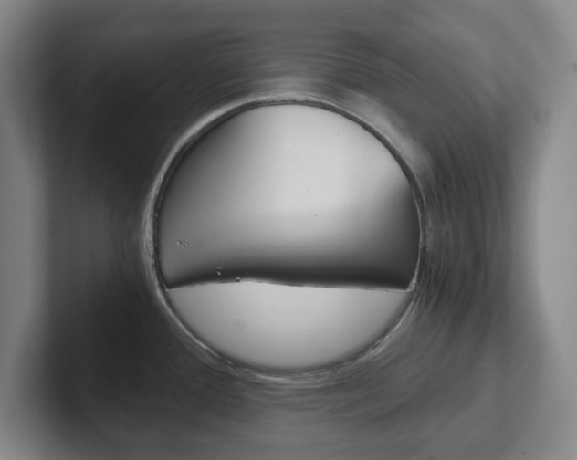 X0000102301388200807251012