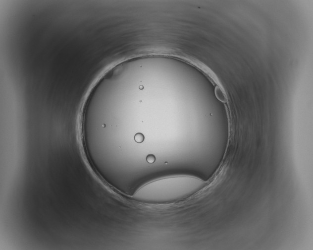 X0000102301389200807251012