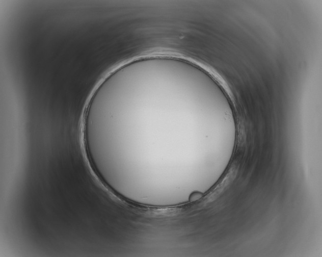 X0000102301390200807251012
