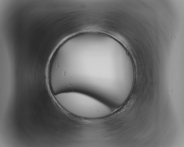 X0000102301392200807251012