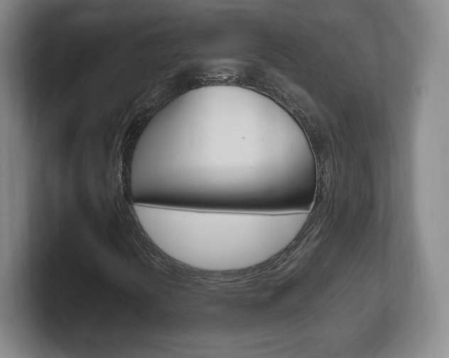 X0000102301394200807251012