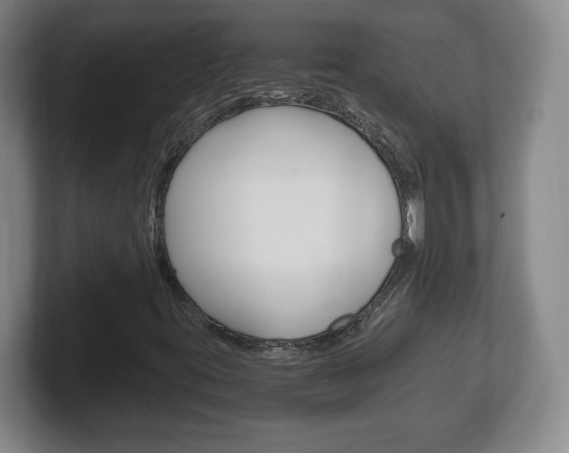 X0000102301395200807251012
