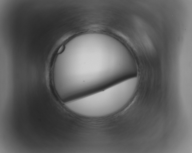 X0000102301410200807251012