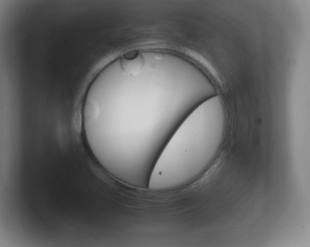 X0000102301413200807251012