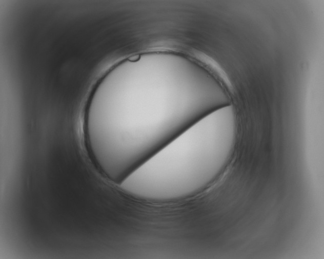 X0000102301419200807251012