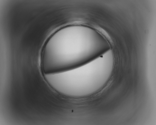 X0000102301420200807251012