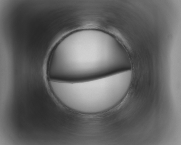 X0000102301422200807251012