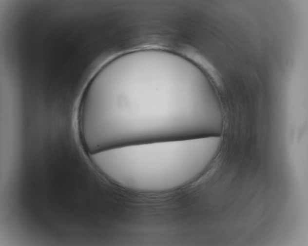 X0000102301423200807251012