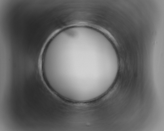 X0000102301424200807251012