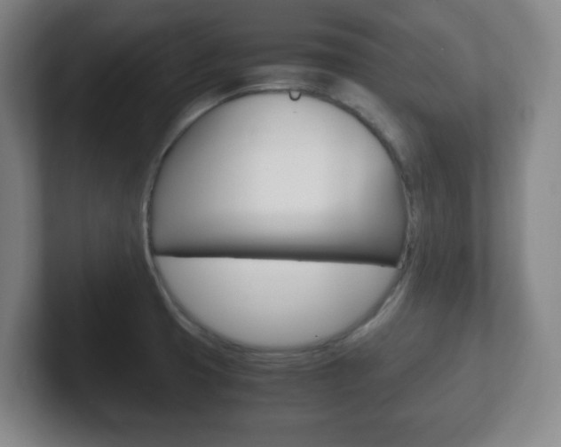 X0000102301425200807251012