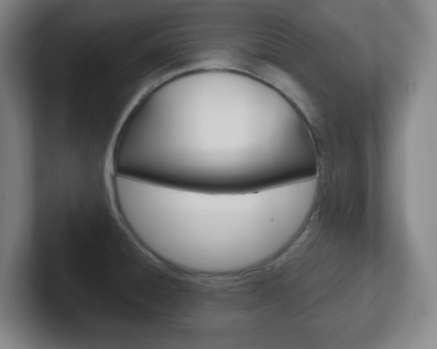 X0000102301428200807251012