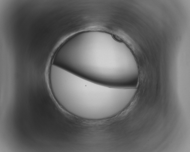 X0000102301430200807251012