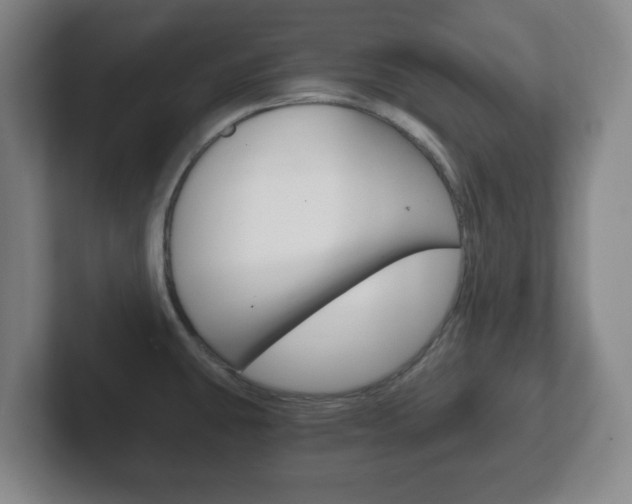 X0000102301431200807251012