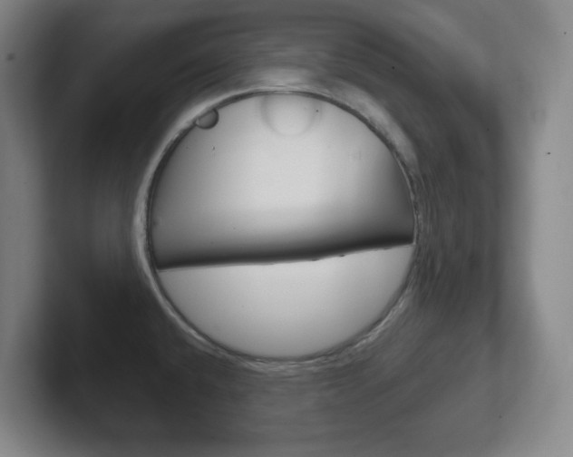 X0000102301432200807251012