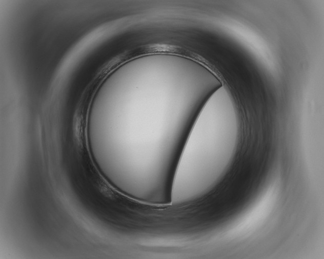 X0000102301438200807251012