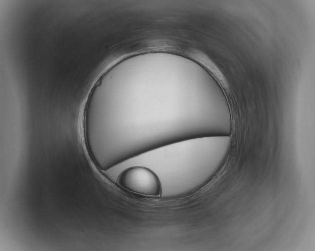 X0000102301439200807251012