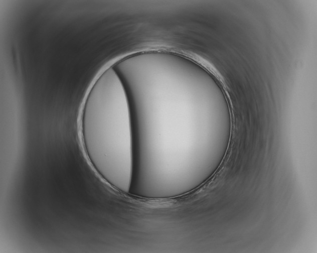X0000102301440200807251012