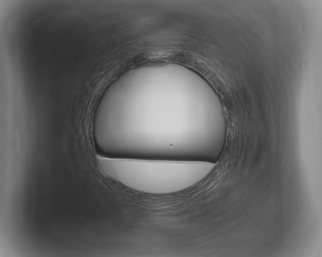 X0000102301441200807251012