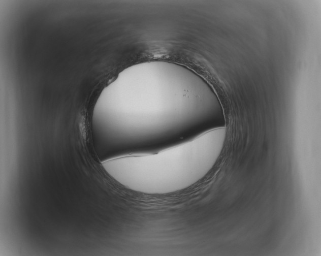 X0000102301442200807251012