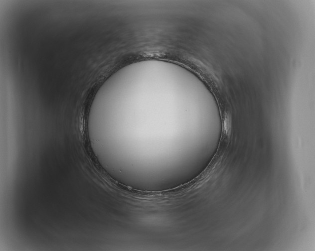 X0000102301444200807251012
