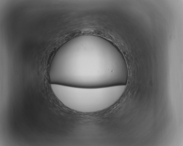 X0000102301445200807251012