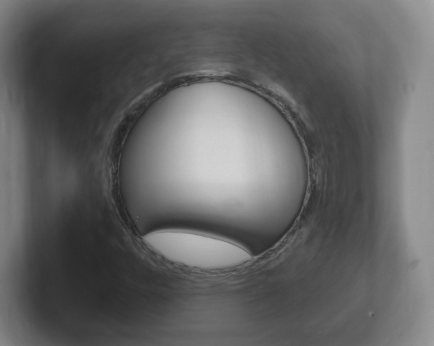 X0000102301448200807251011