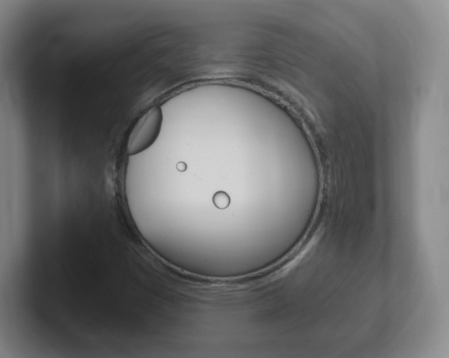 X0000102301449200807251011