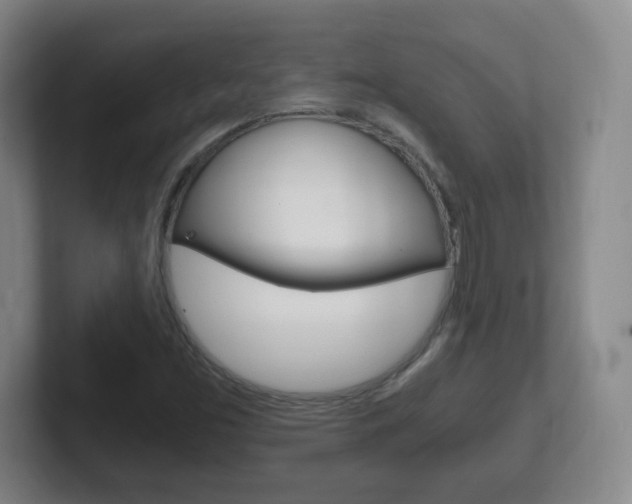 X0000102301453200807251011