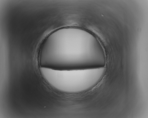 X0000102301455200807251011