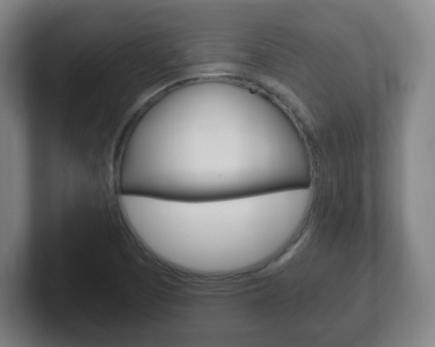 X0000102301457200807251011