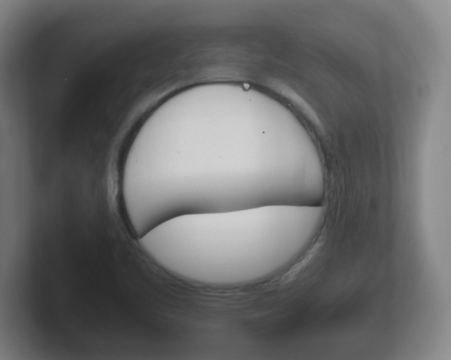X0000102301461200807251011