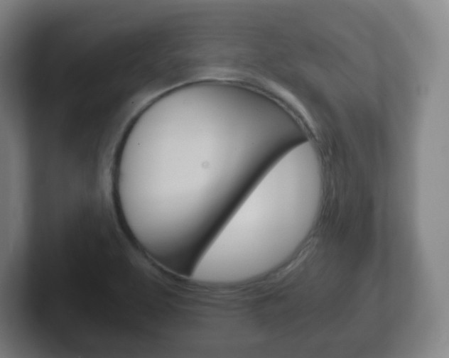 X0000102301463200807251011