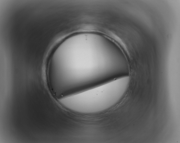 X0000102301464200807251011