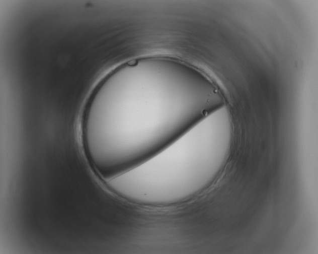 X0000102301468200807251011