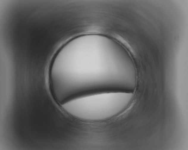 X0000102301469200807251011